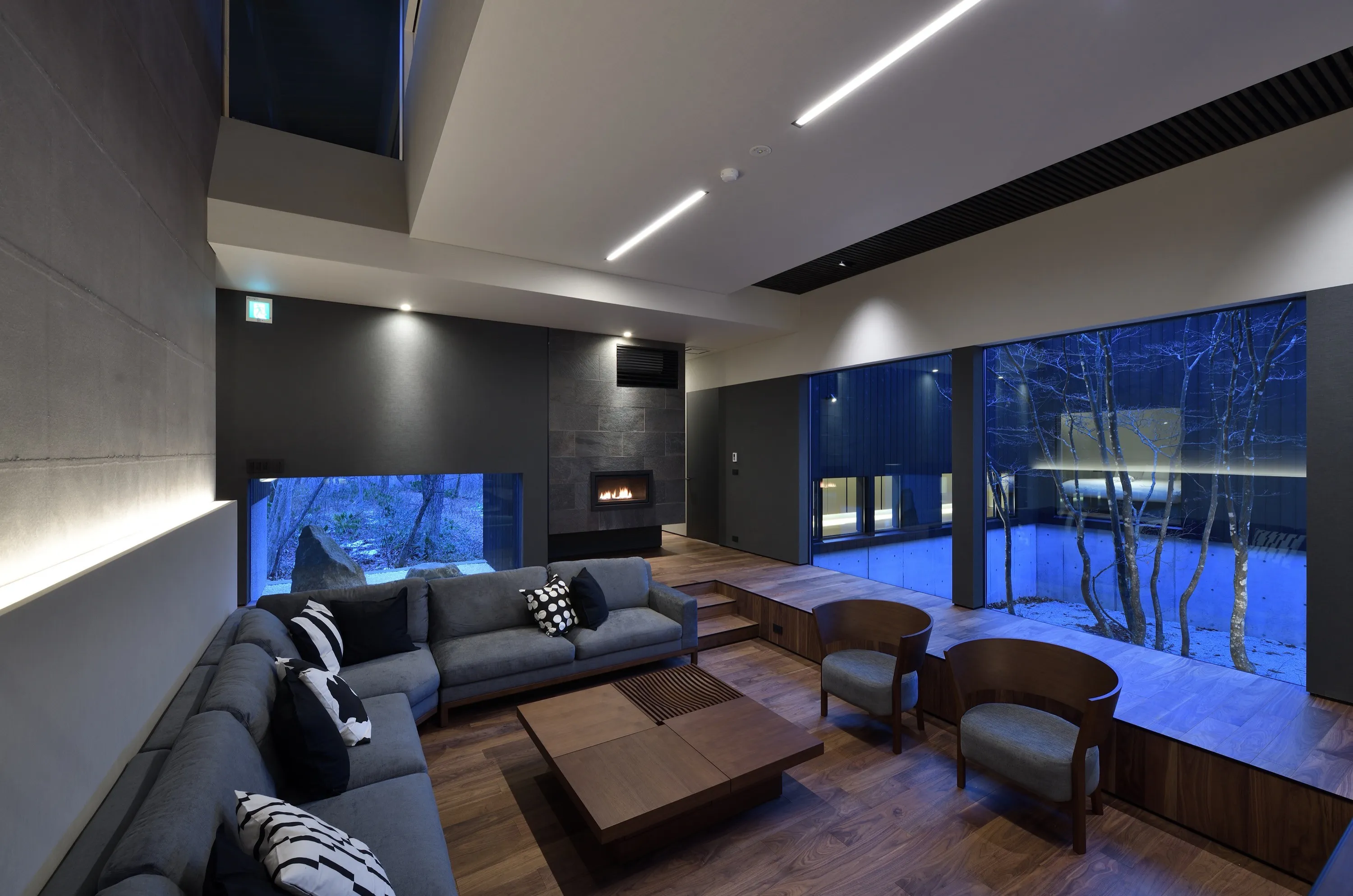 Nivia interior